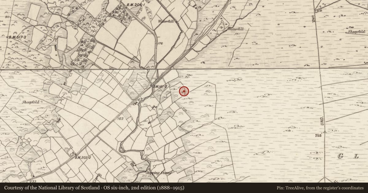 Ordnance Survey six-inch map, 2nd edition (1888–1915) covering the location of Rock art, Liss, County Kerry, with a pin at the register's coordinates
