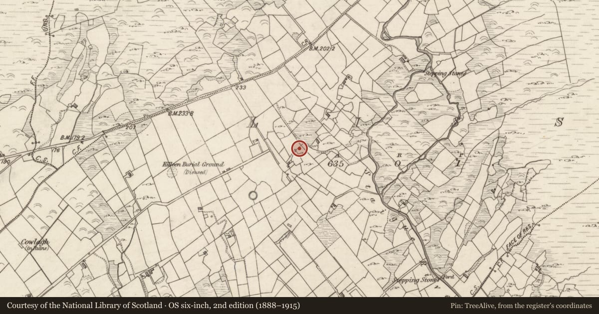 Ordnance Survey six-inch map, 2nd edition (1888–1915) covering the location of Stone circle, Liss, County Kerry, with a pin at the register's coordinates