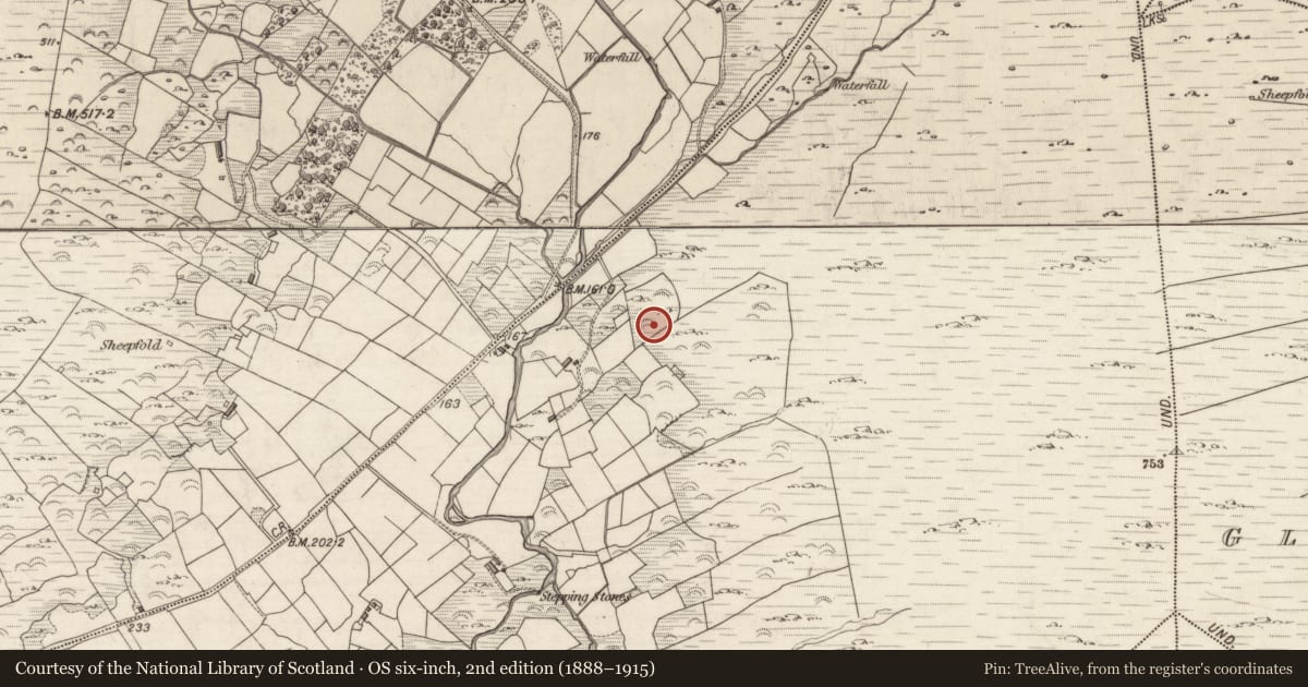 Ordnance Survey six-inch map, 2nd edition (1888–1915) covering the location of Rock art, Liss, County Kerry, with a pin at the register's coordinates