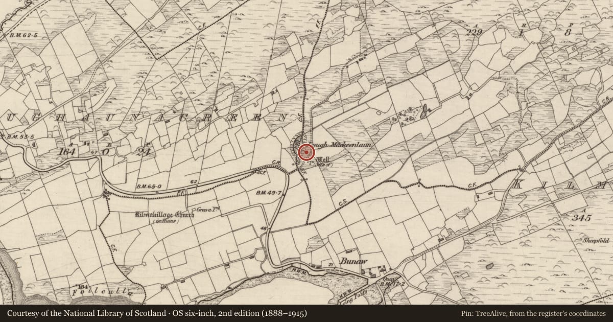 Ordnance Survey six-inch map, 2nd edition (1888–1915) covering the location of Cross-inscribed stone, Derryrush, County Kerry, with a pin at the register's coordinates