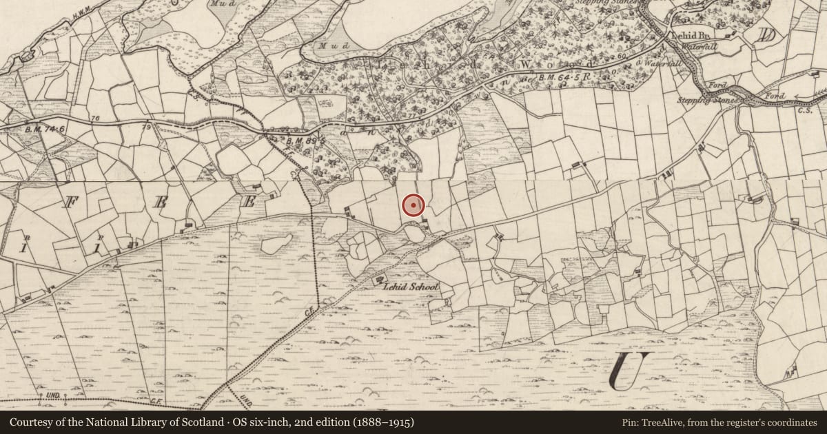 Ordnance Survey six-inch map, 2nd edition (1888–1915) covering the location of Enclosure, Lehid, County Kerry, with a pin at the register's coordinates