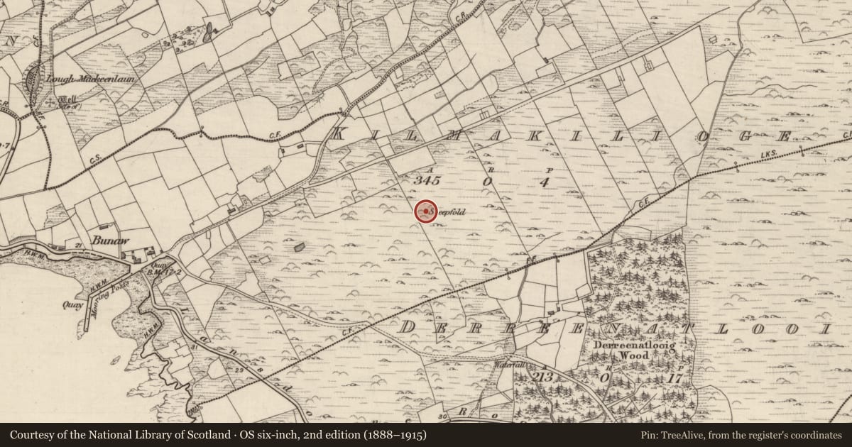 Ordnance Survey six-inch map, 2nd edition (1888–1915) covering the location of Hut site, Kilmakilloge, County Kerry, with a pin at the register's coordinates