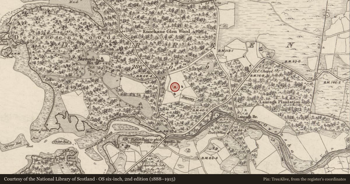 Ordnance Survey six-inch map, 2nd edition (1888–1915) covering the location of Ringfort - rath, Derreen, County Kerry, with a pin at the register's coordinates