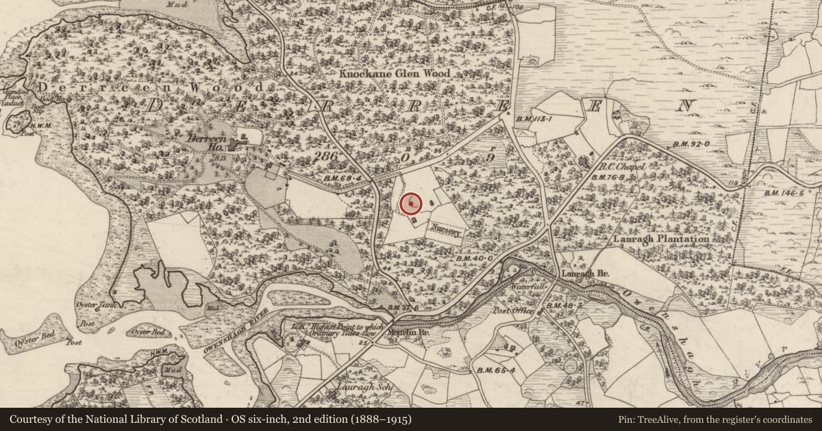 Ordnance Survey six-inch map, 2nd edition (1888–1915) covering the location of Souterrain, Derreen, County Kerry, with a pin at the register's coordinates