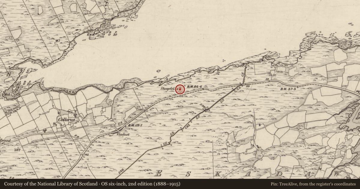 Ordnance Survey six-inch map, 2nd edition (1888–1915) covering the location of Enclosure, Collorus, County Kerry, with a pin at the register's coordinates