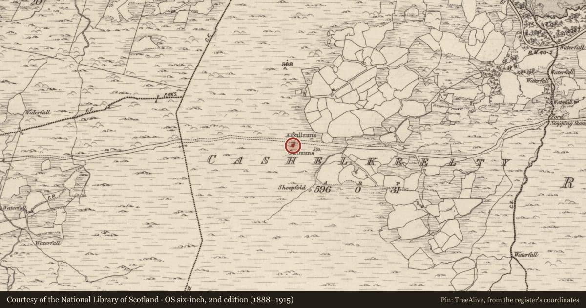 Ordnance Survey six-inch map, 2nd edition (1888–1915) covering the location of Stone circle - multiple-stone, Cashelkeelty, County Kerry, with a pin at the register's coordinates
