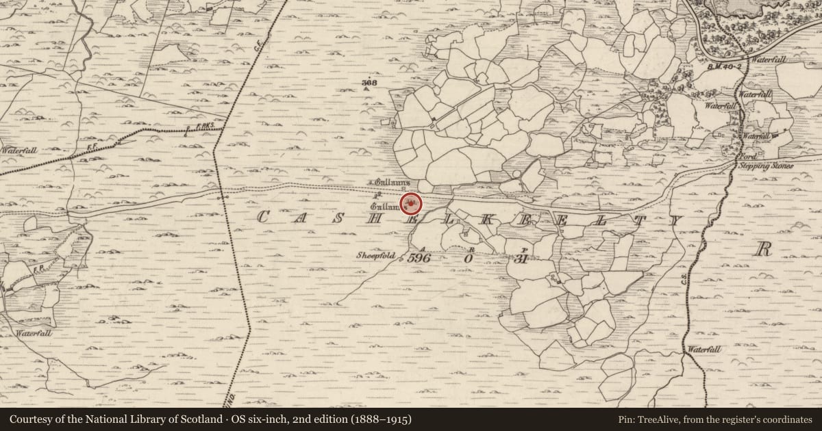 Ordnance Survey six-inch map, 2nd edition (1888–1915) covering the location of Stone row, Cashelkeelty, County Kerry, with a pin at the register's coordinates