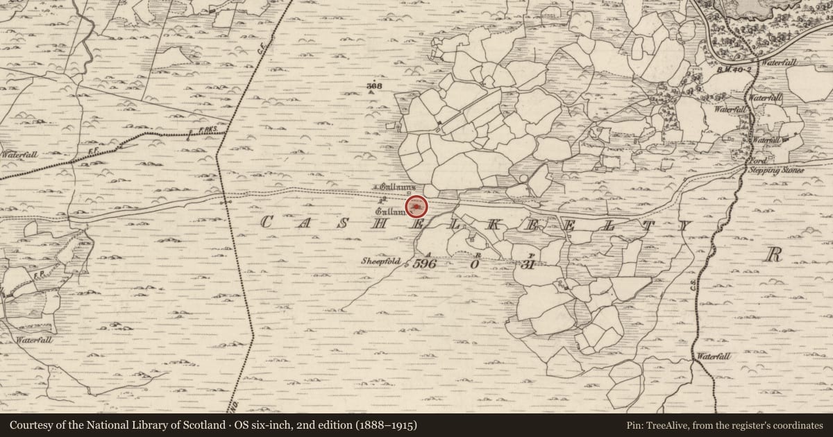 Ordnance Survey six-inch map, 2nd edition (1888–1915) covering the location of Pit-burial, Cashelkeelty, County Kerry, with a pin at the register's coordinates