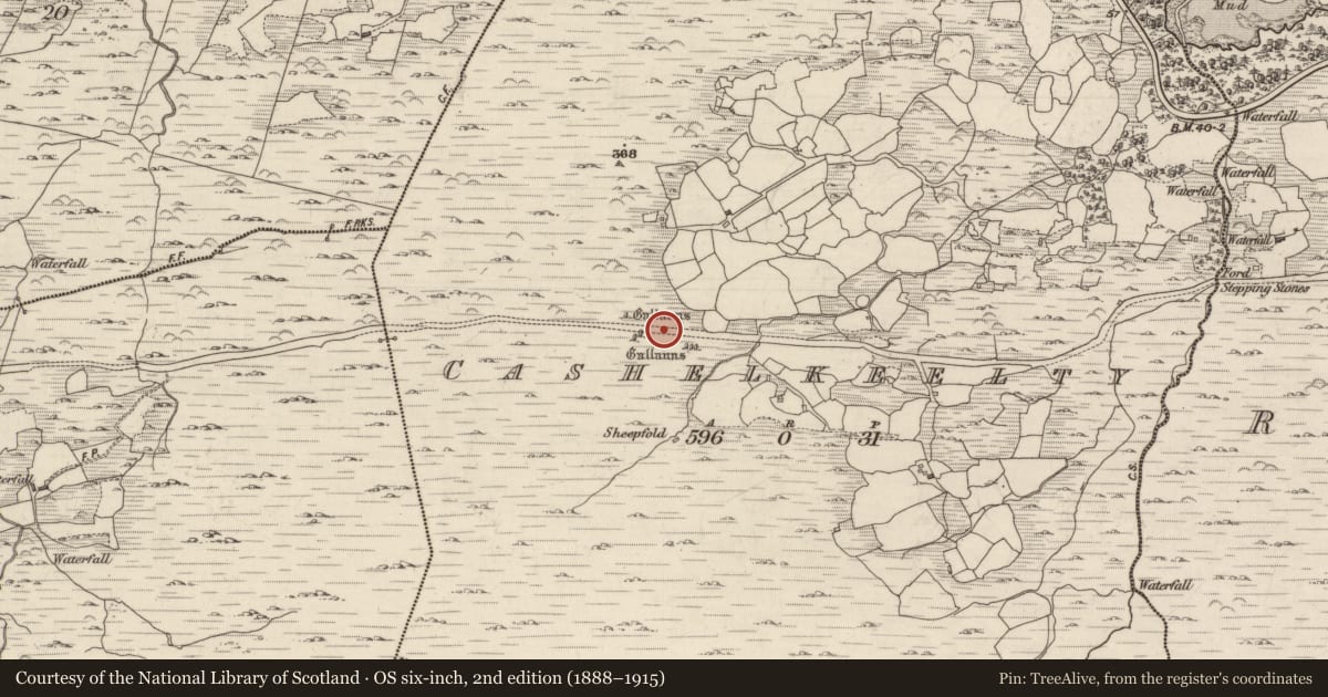 Ordnance Survey six-inch map, 2nd edition (1888–1915) covering the location of Field boundary, Cashelkeelty, County Kerry, with a pin at the register's coordinates