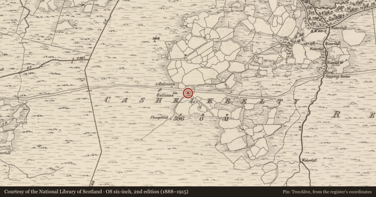 Ordnance Survey six-inch map, 2nd edition (1888–1915) covering the location of Field boundary, Cashelkeelty, County Kerry, with a pin at the register's coordinates