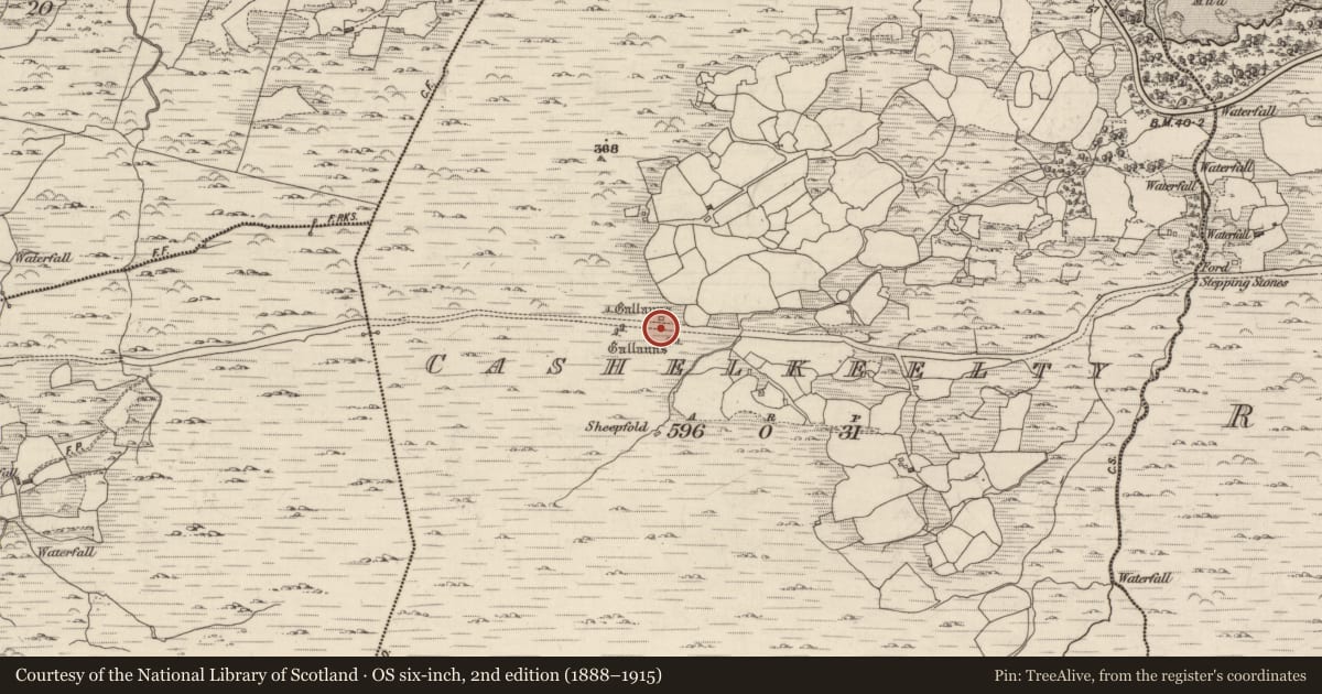 Ordnance Survey six-inch map, 2nd edition (1888–1915) covering the location of Road - road/trackway, Cashelkeelty, County Kerry, with a pin at the register's coordinates