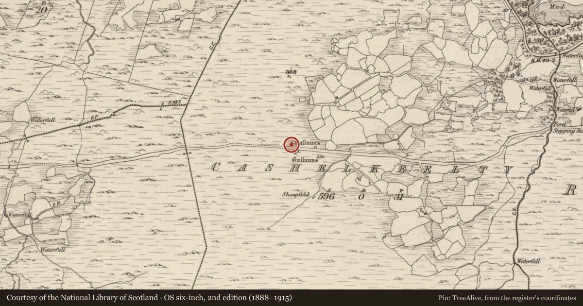 Ordnance Survey six-inch map, 2nd edition (1888–1915) covering the location of Standing stone, Cashelkeelty, County Kerry, with a pin at the register's coordinates