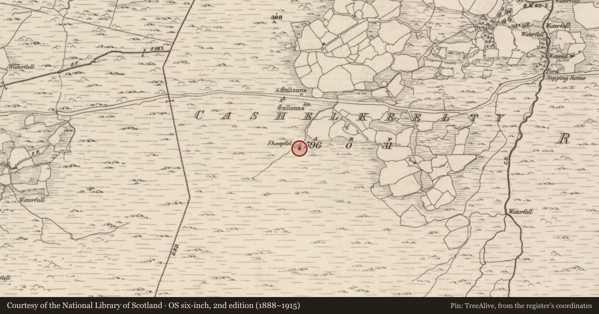 Ordnance Survey six-inch map, 2nd edition (1888–1915) covering the location of Hut site, Cashelkeelty, County Kerry, with a pin at the register's coordinates