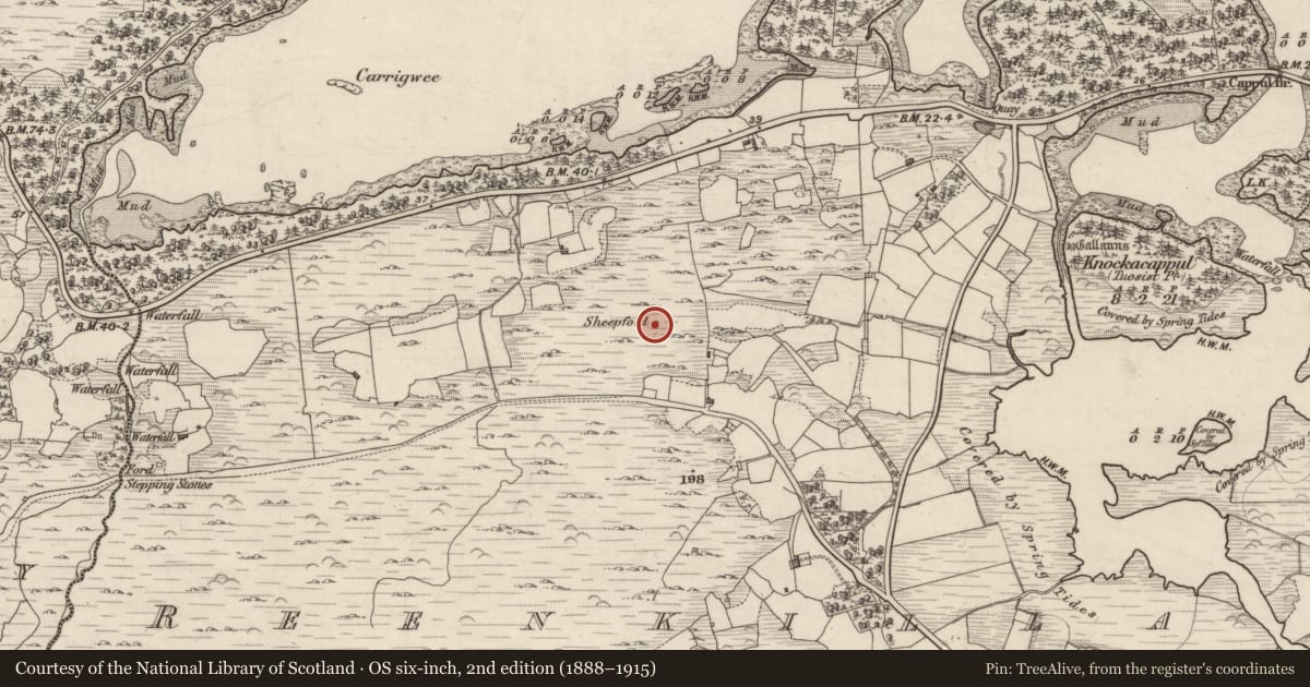 Ordnance Survey six-inch map, 2nd edition (1888–1915) covering the location of Hut site, Reenkilla, County Kerry, with a pin at the register's coordinates