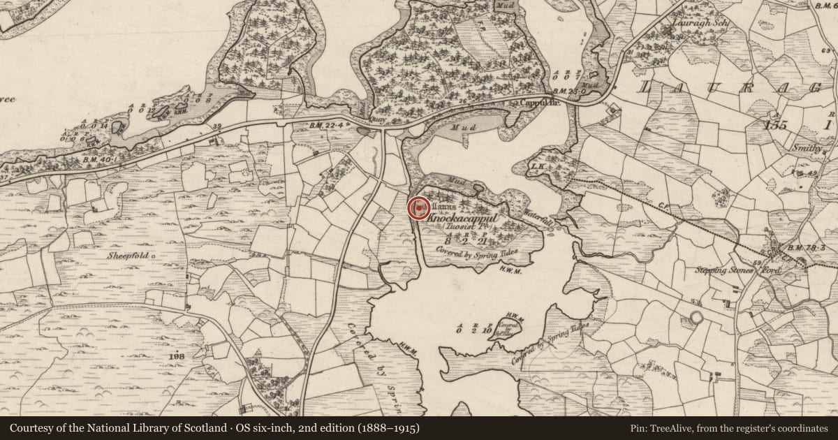 Ordnance Survey six-inch map, 2nd edition (1888–1915) covering the location of Four poster, Reenkilla, County Kerry, with a pin at the register's coordinates
