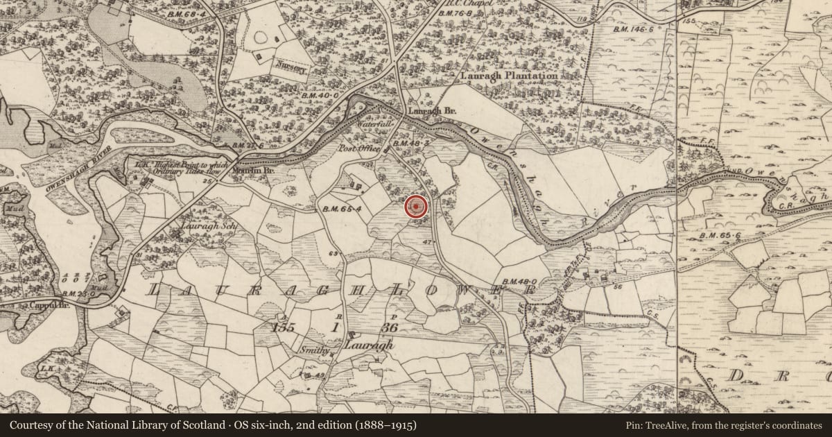 Ordnance Survey six-inch map, 2nd edition (1888–1915) covering the location of Ringfort - rath, Lauragh Lower, County Kerry, with a pin at the register's coordinates