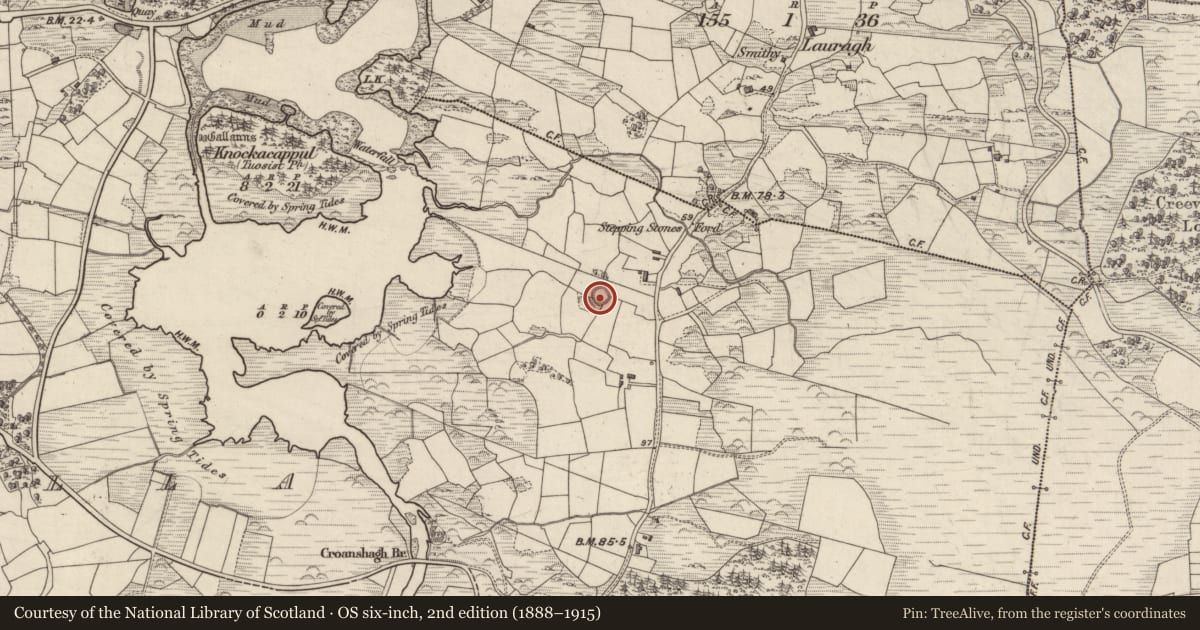 Ordnance Survey six-inch map, 2nd edition (1888–1915) covering the location of Souterrain, Lauragh Upper, County Kerry, with a pin at the register's coordinates