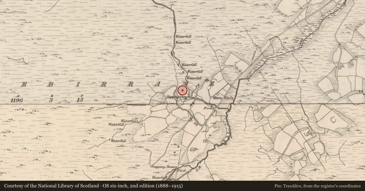 Ordnance Survey six-inch map, 2nd edition (1888–1915) covering the location of Enclosure, Shronebirrane, County Kerry, with a pin at the register's coordinates