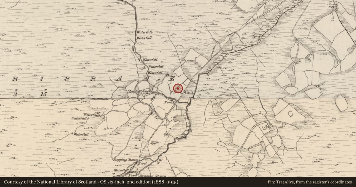 Ordnance Survey six-inch map, 2nd edition (1888–1915) covering the location of Stone circle - multiple-stone, Shronebirrane, County Kerry, with a pin at the register's coordinates
