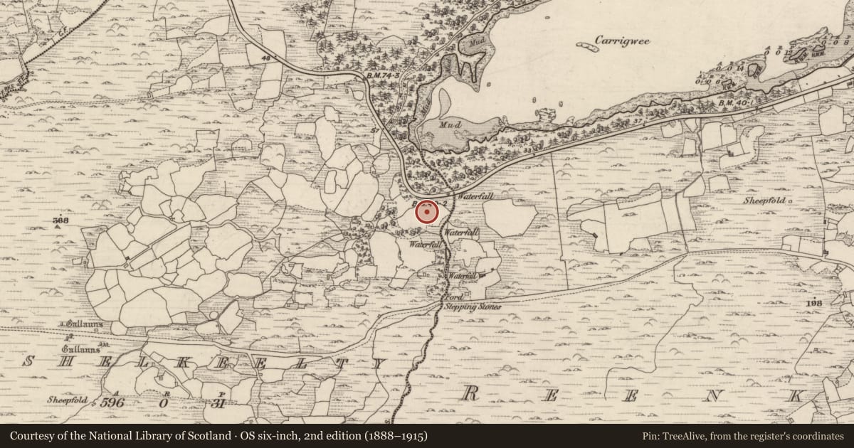 Ordnance Survey six-inch map, 2nd edition (1888–1915) covering the location of Standing stone, Cashelkeelty, County Kerry, with a pin at the register's coordinates