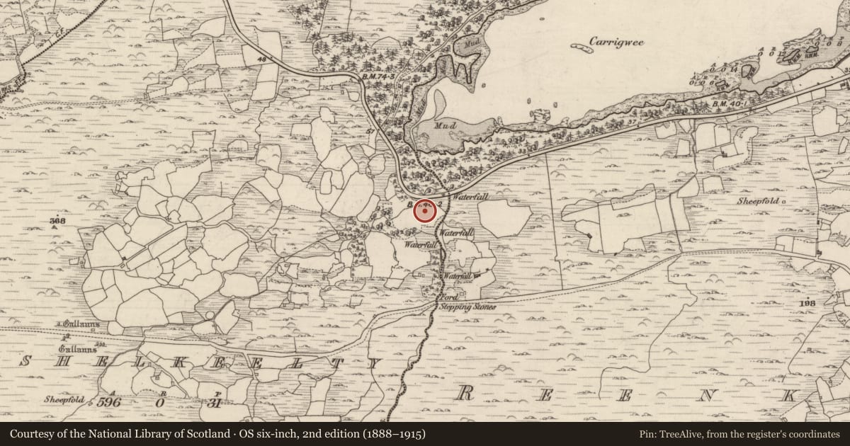 Ordnance Survey six-inch map, 2nd edition (1888–1915) covering the location of Standing stone, Cashelkeelty, County Kerry, with a pin at the register's coordinates