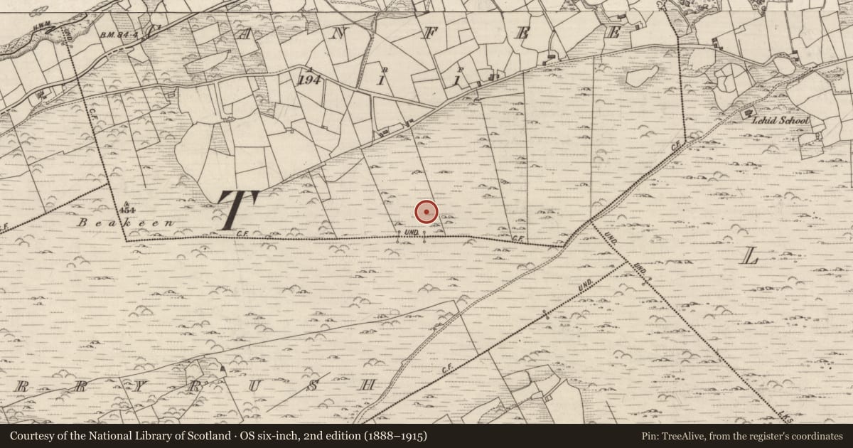 Ordnance Survey six-inch map, 2nd edition (1888–1915) covering the location of Megalithic structure, Canfee, County Kerry, with a pin at the register's coordinates