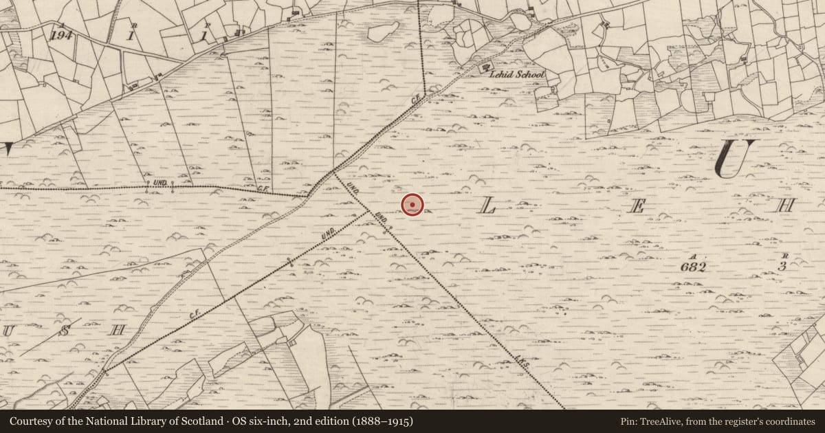Ordnance Survey six-inch map, 2nd edition (1888–1915) covering the location of Standing stone, Lehid, County Kerry, with a pin at the register's coordinates