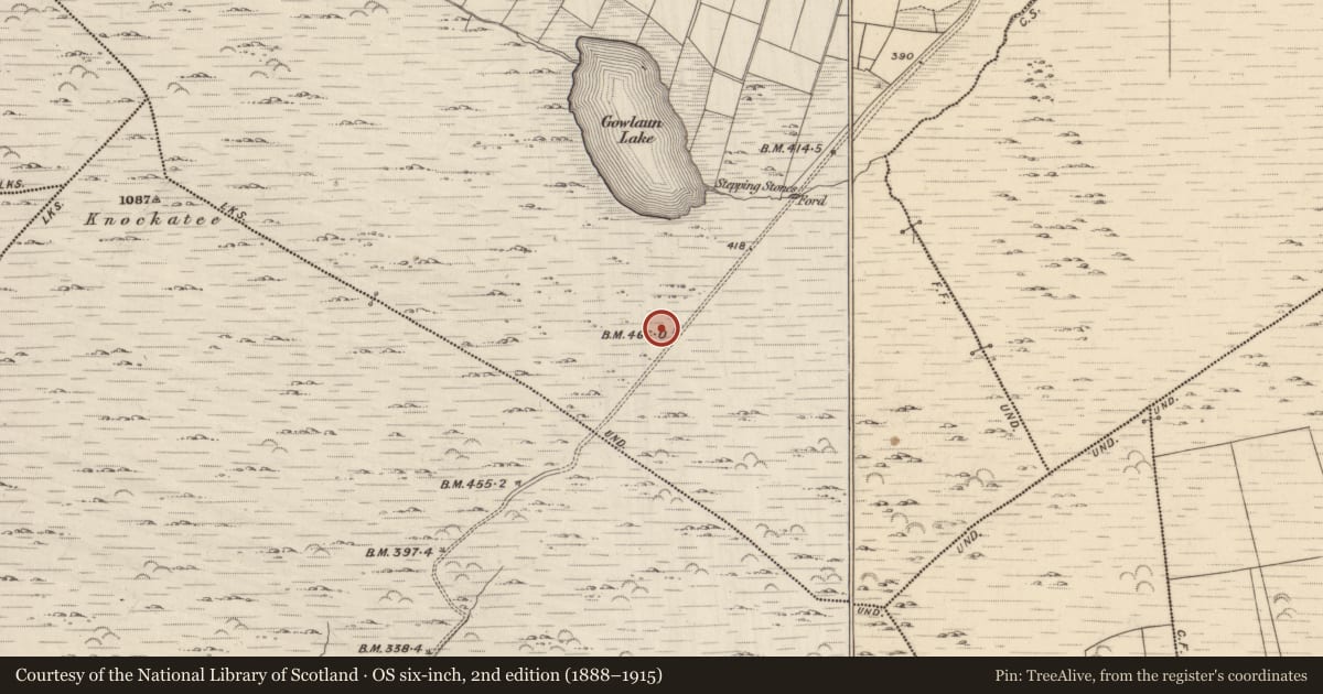 Ordnance Survey six-inch map, 2nd edition (1888–1915) covering the location of Field boundary, Lehid, County Kerry, with a pin at the register's coordinates