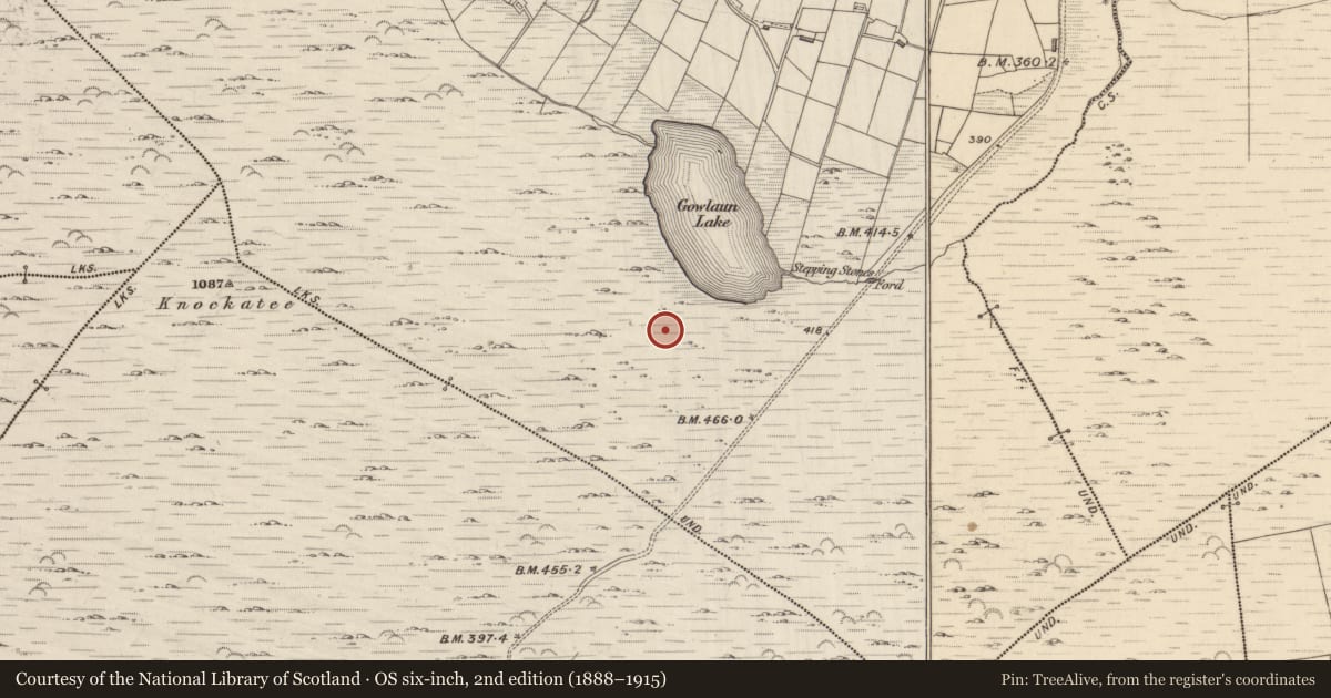 Ordnance Survey six-inch map, 2nd edition (1888–1915) covering the location of Hut site, Lehid, County Kerry, with a pin at the register's coordinates
