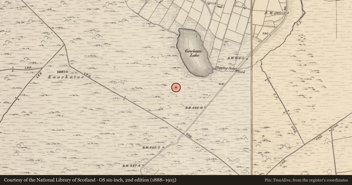 Ordnance Survey six-inch map, 2nd edition (1888–1915) covering the location of Enclosure, Lehid, County Kerry, with a pin at the register's coordinates