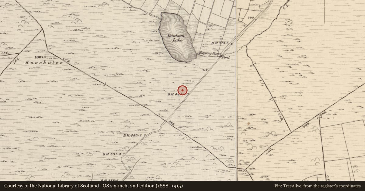 Ordnance Survey six-inch map, 2nd edition (1888–1915) covering the location of Hut site, Lehid, County Kerry, with a pin at the register's coordinates
