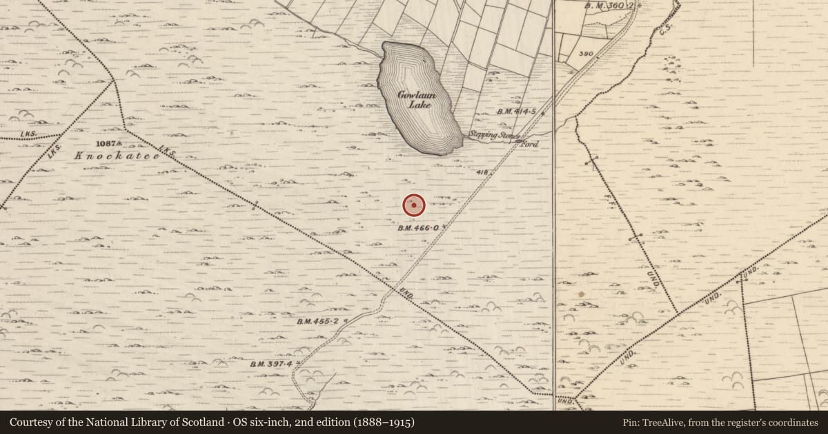 Ordnance Survey six-inch map, 2nd edition (1888–1915) covering the location of Megalithic structure, Lehid, County Kerry, with a pin at the register's coordinates