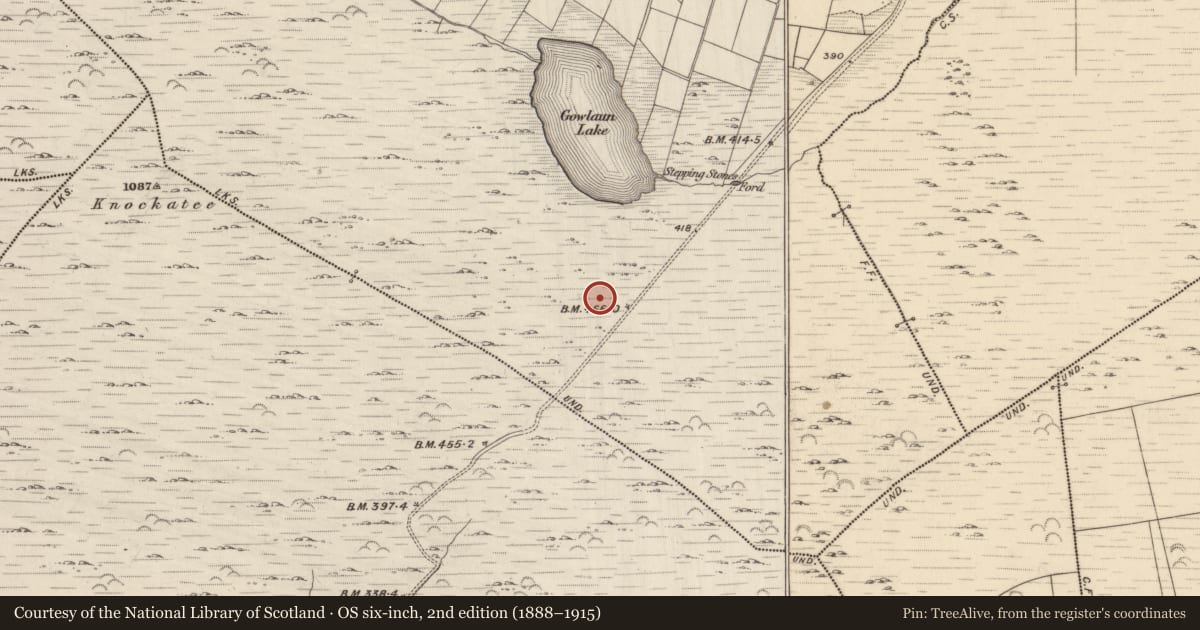 Ordnance Survey six-inch map, 2nd edition (1888–1915) covering the location of Enclosure, Lehid, County Kerry, with a pin at the register's coordinates