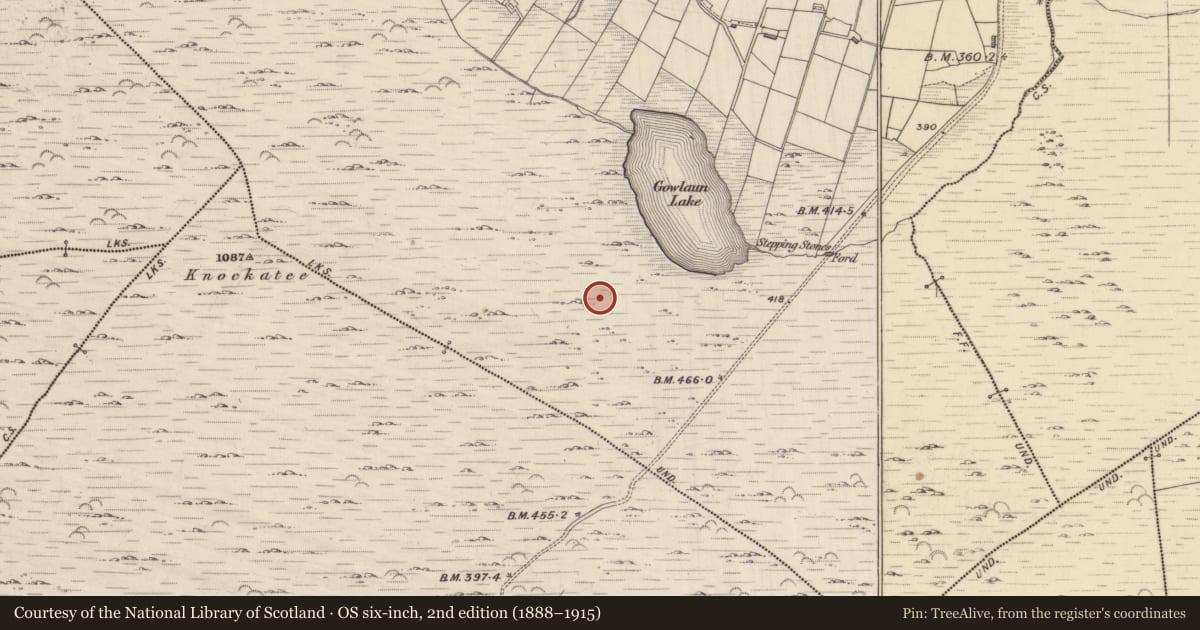 Ordnance Survey six-inch map, 2nd edition (1888–1915) covering the location of Hut site, Lehid, County Kerry, with a pin at the register's coordinates