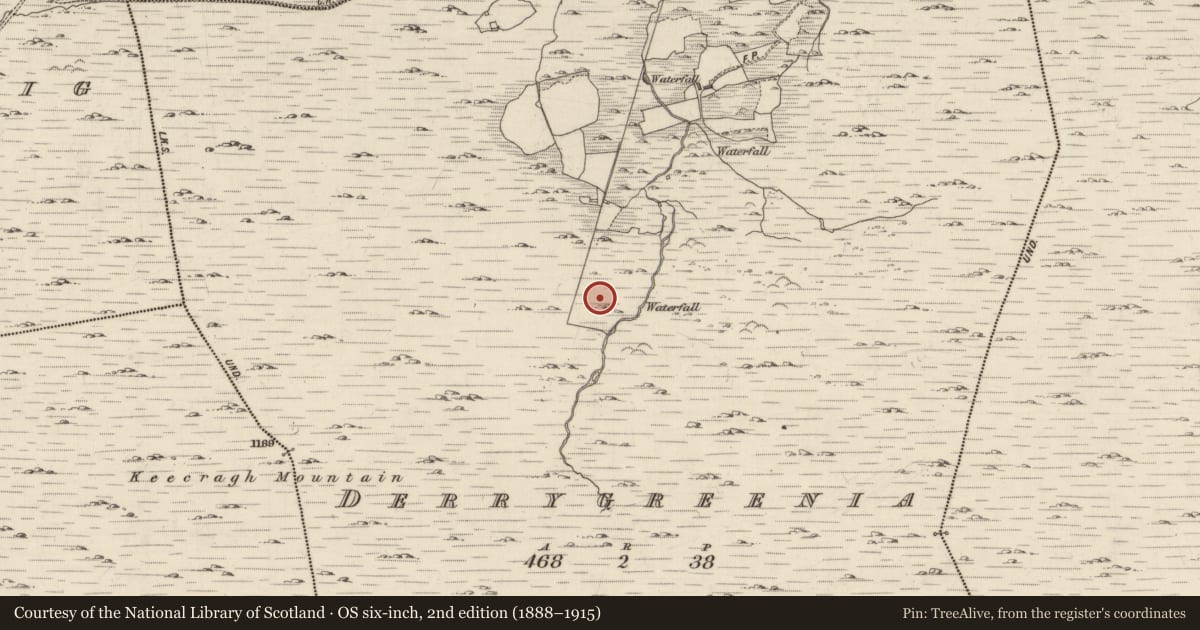 Ordnance Survey six-inch map, 2nd edition (1888–1915) covering the location of Enclosure, Derrygreenia, County Kerry, with a pin at the register's coordinates