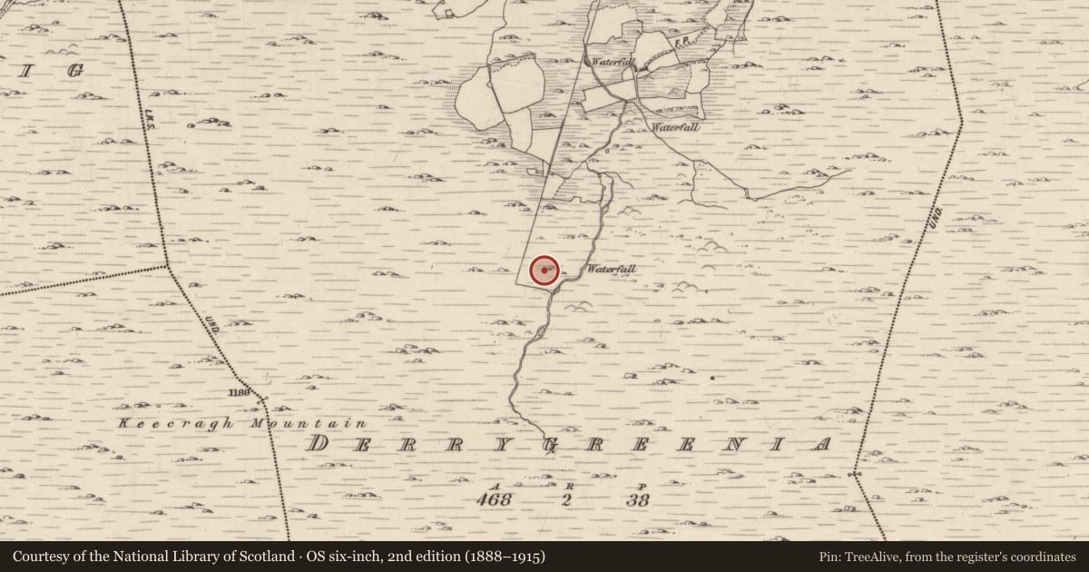 Ordnance Survey six-inch map, 2nd edition (1888–1915) covering the location of Enclosure, Derrygreenia, County Kerry, with a pin at the register's coordinates