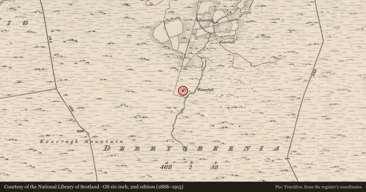 Ordnance Survey six-inch map, 2nd edition (1888–1915) covering the location of Hut site, Derrygreenia, County Kerry, with a pin at the register's coordinates