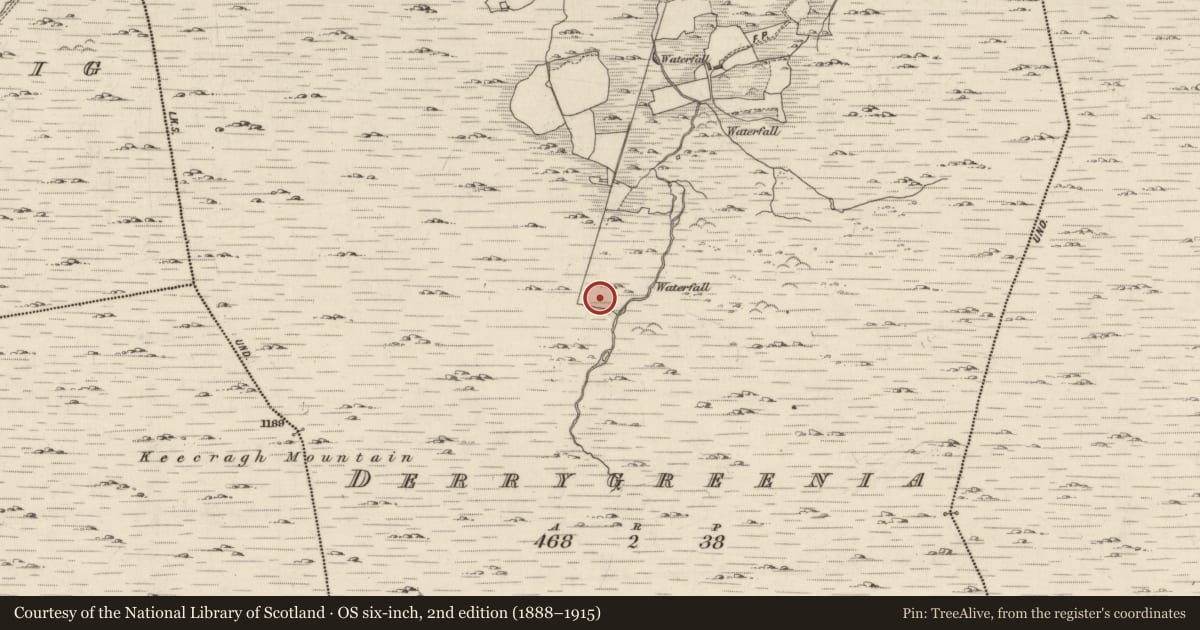 Ordnance Survey six-inch map, 2nd edition (1888–1915) covering the location of Hut site, Derrygreenia, County Kerry, with a pin at the register's coordinates