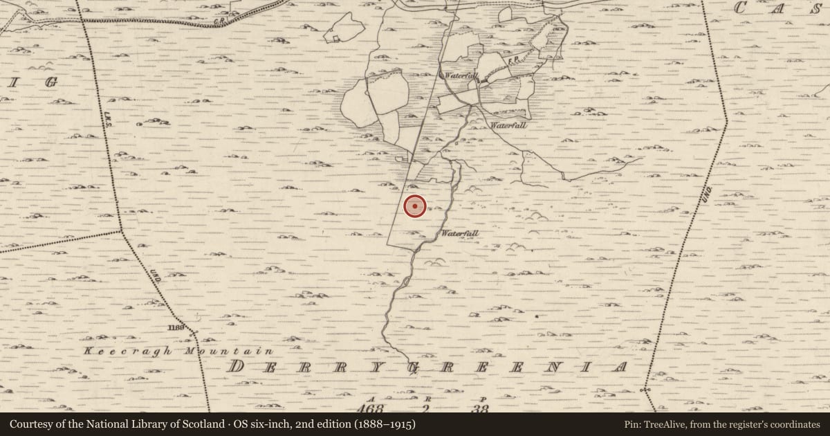 Ordnance Survey six-inch map, 2nd edition (1888–1915) covering the location of Hut site, Derrygreenia, County Kerry, with a pin at the register's coordinates