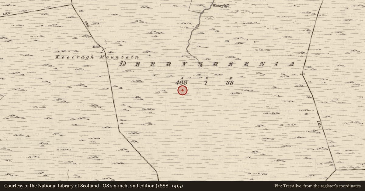 Ordnance Survey six-inch map, 2nd edition (1888–1915) covering the location of Hut site, Derrygreenia, County Kerry, with a pin at the register's coordinates