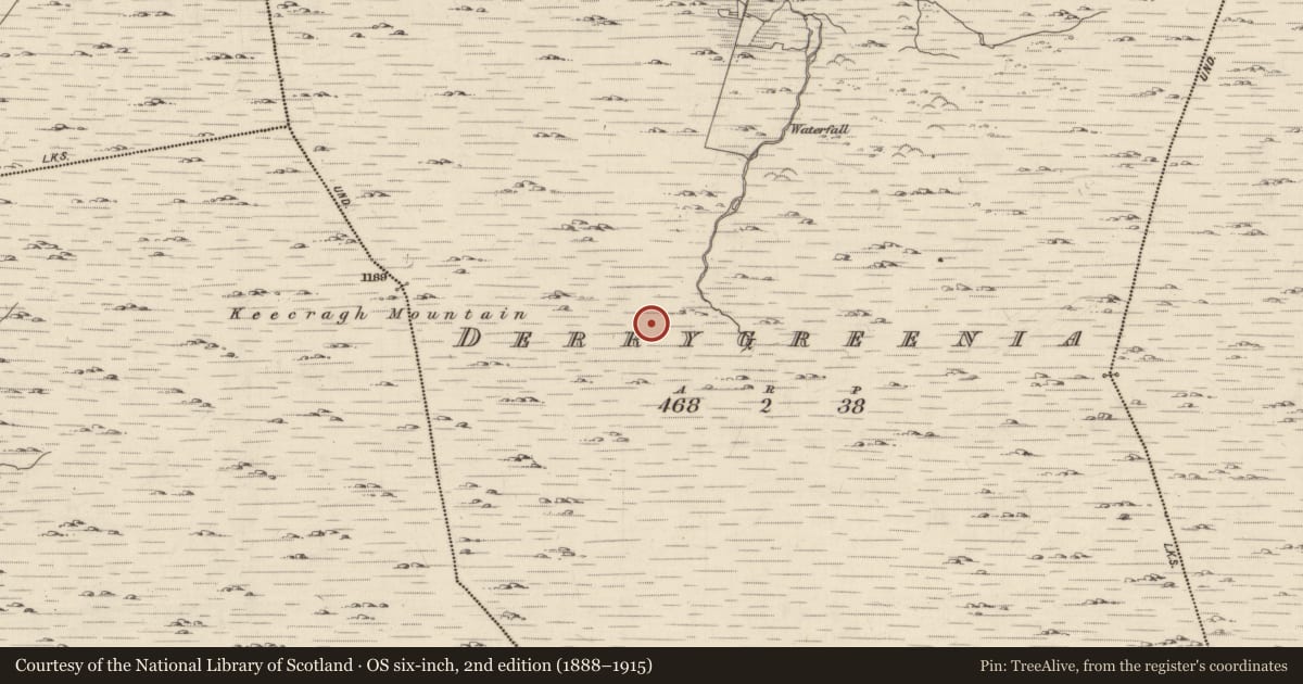 Ordnance Survey six-inch map, 2nd edition (1888–1915) covering the location of Hut site, Derrygreenia, County Kerry, with a pin at the register's coordinates