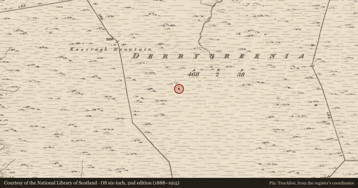 Ordnance Survey six-inch map, 2nd edition (1888–1915) covering the location of Field boundary, Derrygreenia, County Kerry, with a pin at the register's coordinates