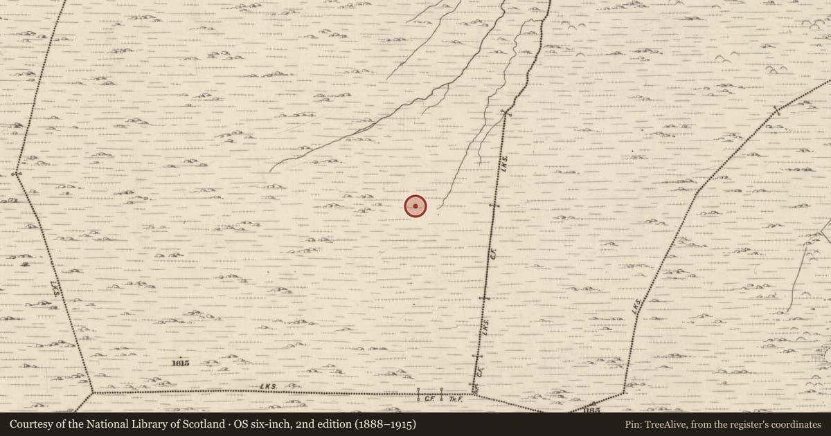 Ordnance Survey six-inch map, 2nd edition (1888–1915) covering the location of Enclosure, Cashelkeelty, County Kerry, with a pin at the register's coordinates