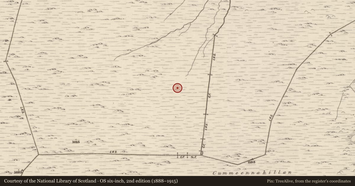 Ordnance Survey six-inch map, 2nd edition (1888–1915) covering the location of Hut site, Cashelkeelty, County Kerry, with a pin at the register's coordinates