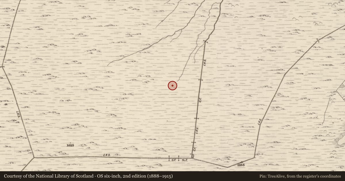 Ordnance Survey six-inch map, 2nd edition (1888–1915) covering the location of Hut site, Cashelkeelty, County Kerry, with a pin at the register's coordinates