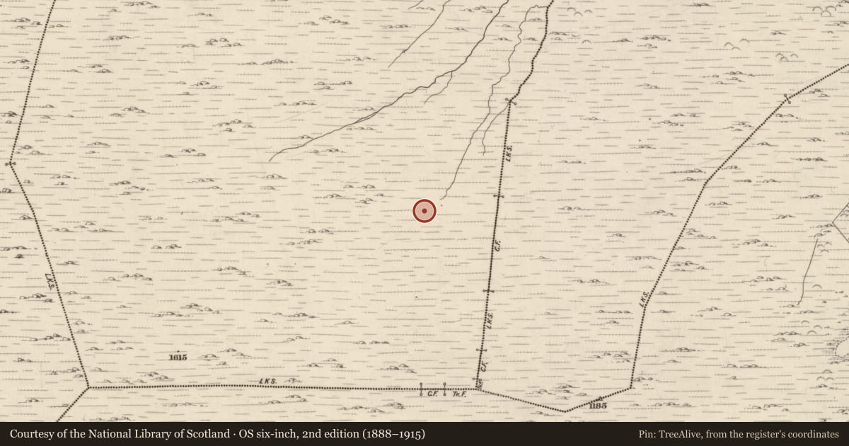 Ordnance Survey six-inch map, 2nd edition (1888–1915) covering the location of Hut site, Cashelkeelty, County Kerry, with a pin at the register's coordinates