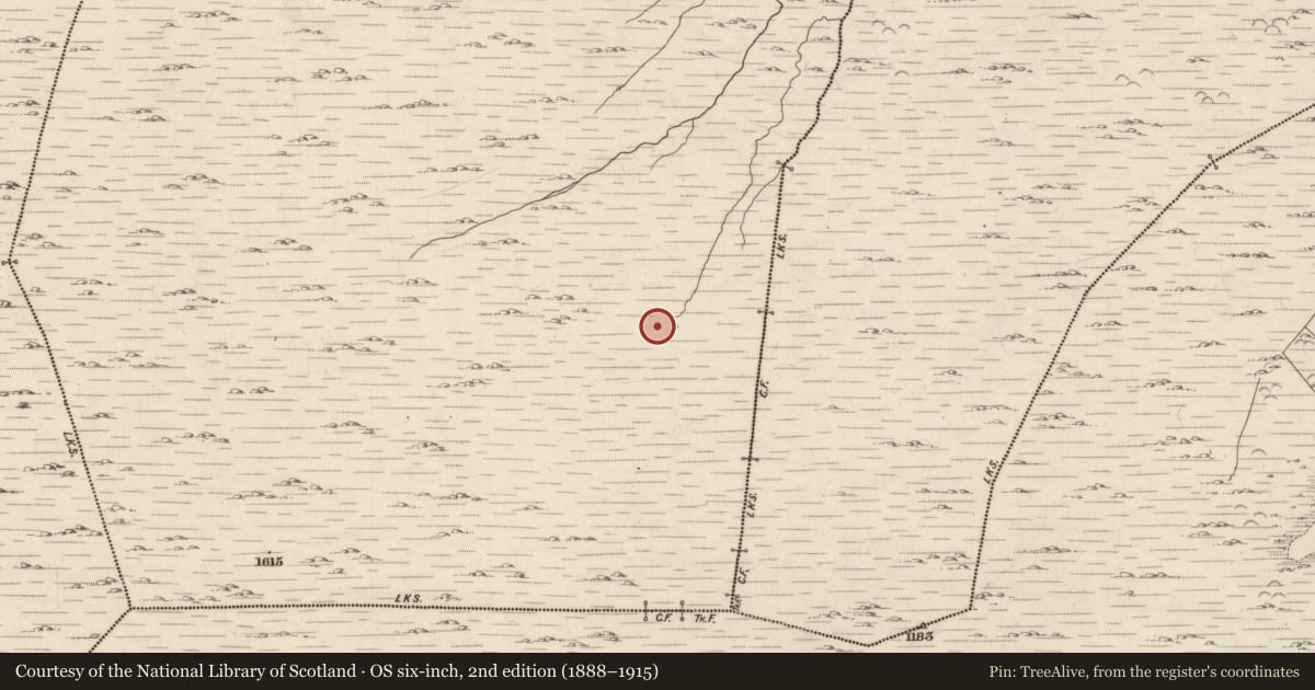 Ordnance Survey six-inch map, 2nd edition (1888–1915) covering the location of Hut site, Cashelkeelty, County Kerry, with a pin at the register's coordinates