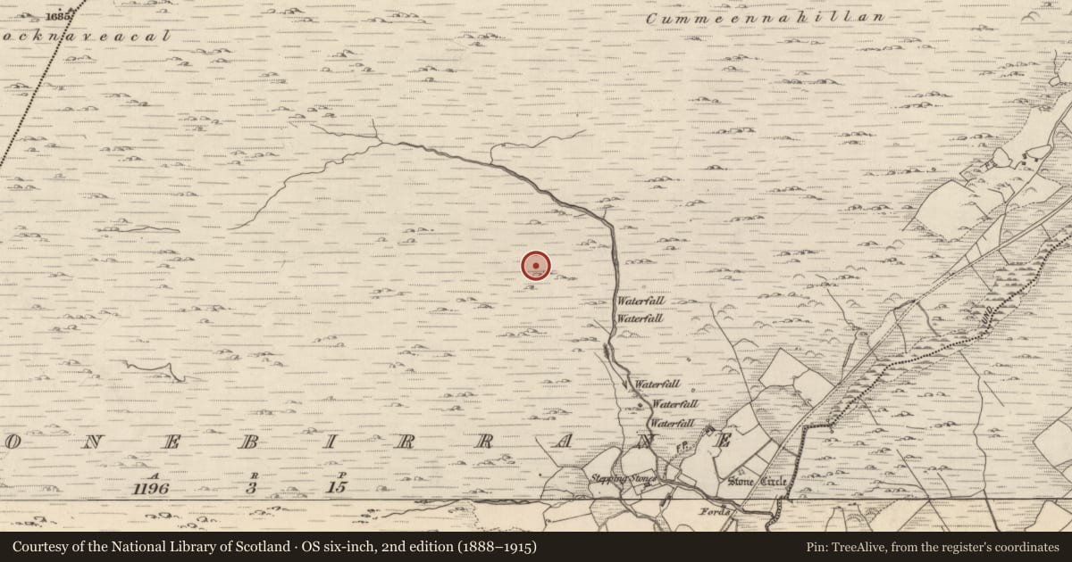 Ordnance Survey six-inch map, 2nd edition (1888–1915) covering the location of Field boundary, Shronebirrane, County Kerry, with a pin at the register's coordinates