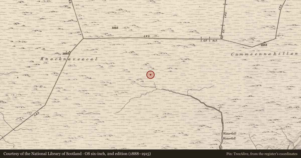 Ordnance Survey six-inch map, 2nd edition (1888–1915) covering the location of Hut site, Shronebirrane, County Kerry, with a pin at the register's coordinates