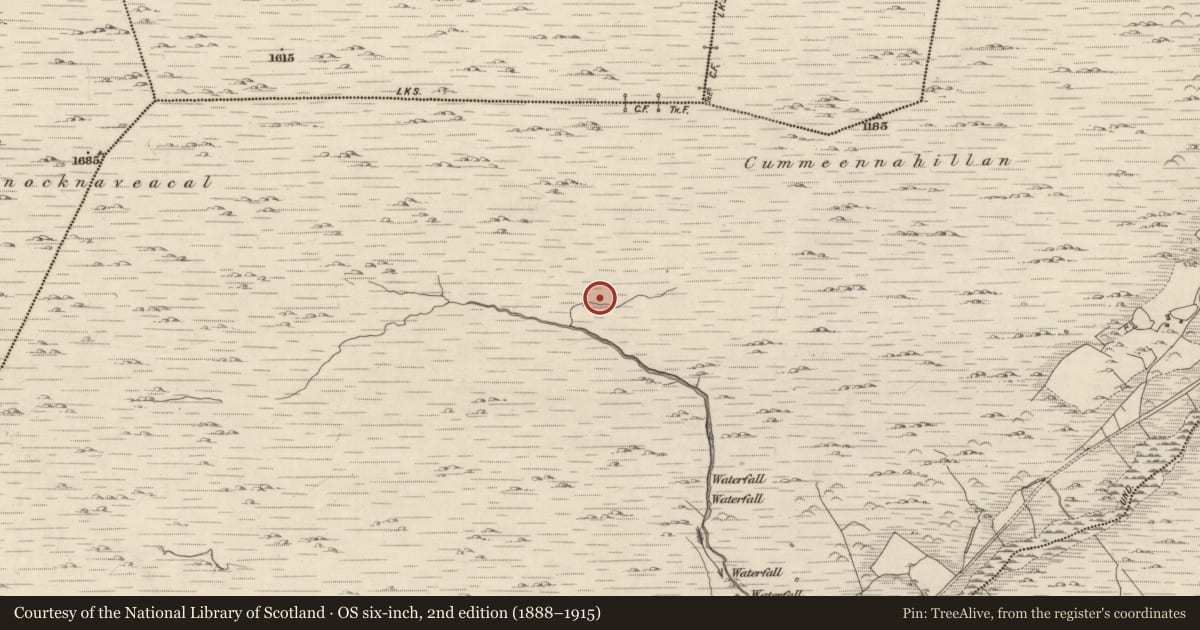 Ordnance Survey six-inch map, 2nd edition (1888–1915) covering the location of Hut site, Shronebirrane, County Kerry, with a pin at the register's coordinates